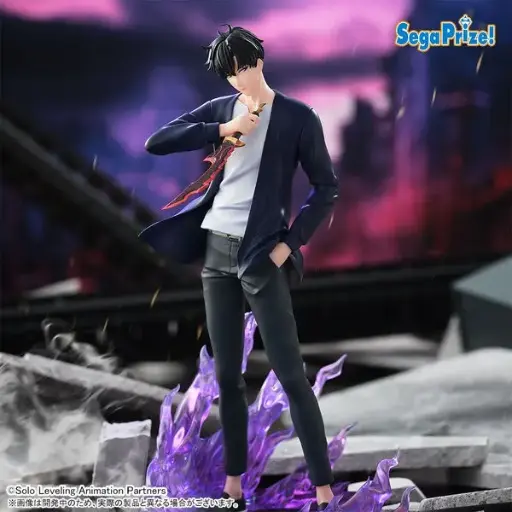 [4582733443515] SOLO LEVELING - XROSS LINK - Sung Jinwoo